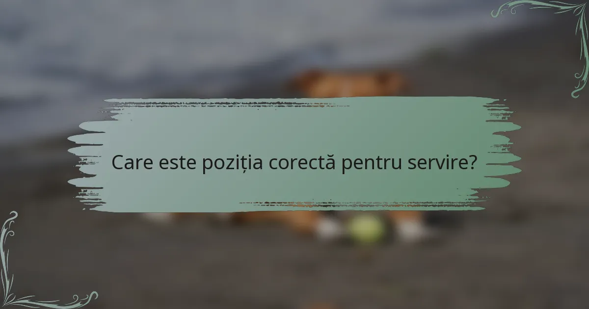Care este poziția corectă pentru servire?