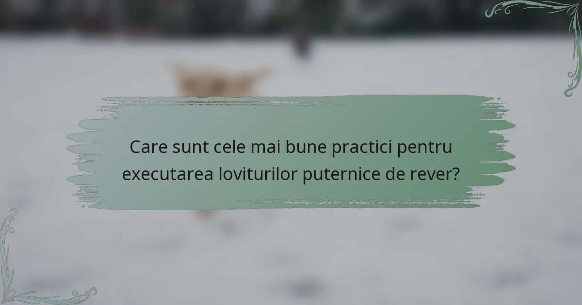 Care sunt cele mai bune practici pentru executarea loviturilor puternice de rever?