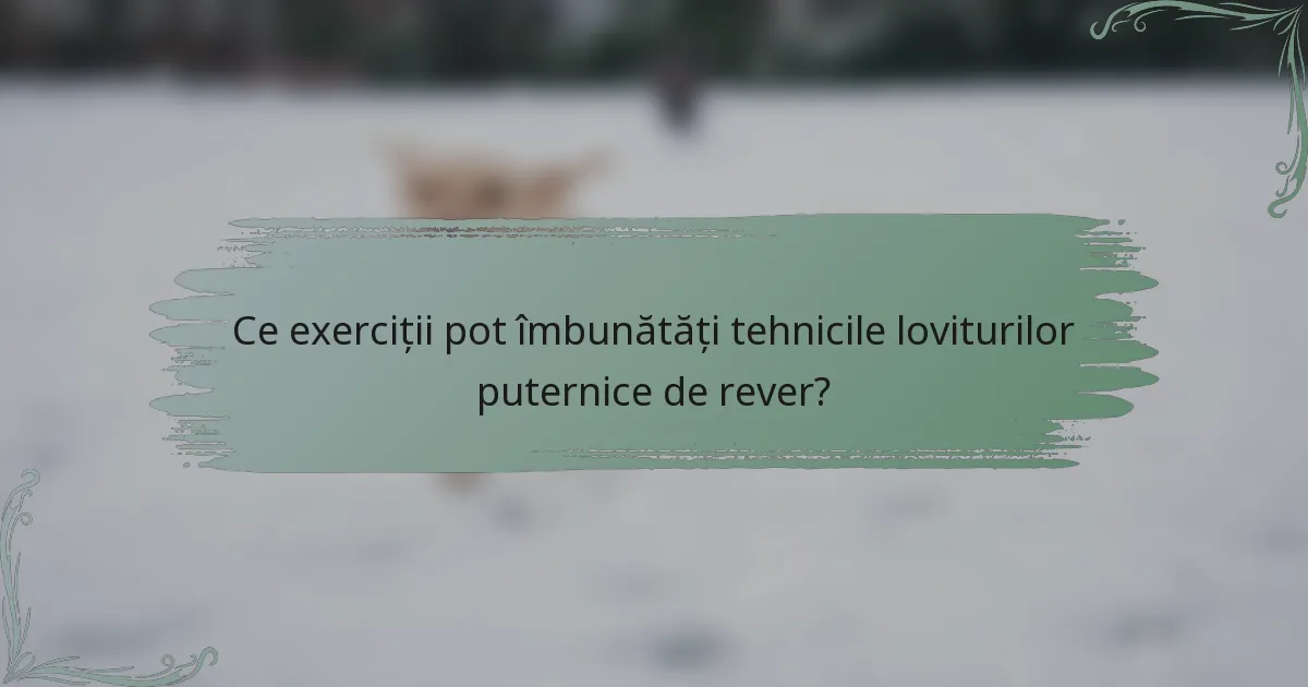 Ce exerciții pot îmbunătăți tehnicile loviturilor puternice de rever?