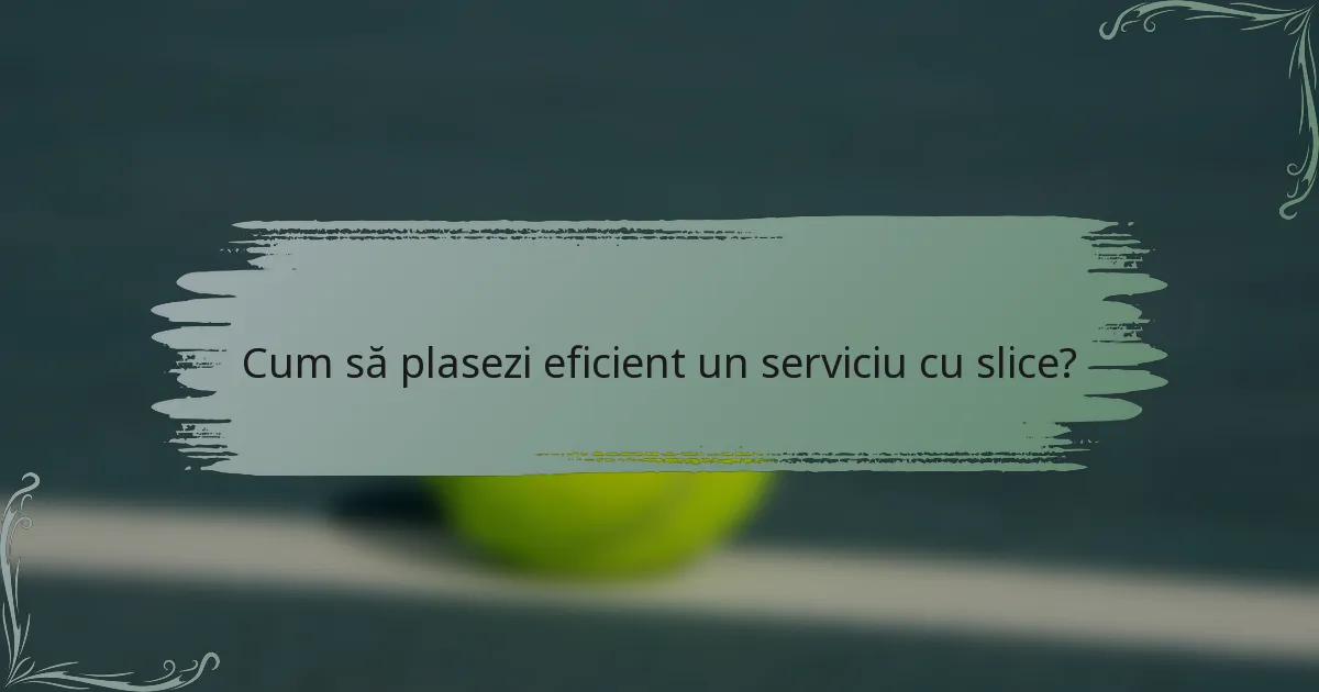 Cum să plasezi eficient un serviciu cu slice?